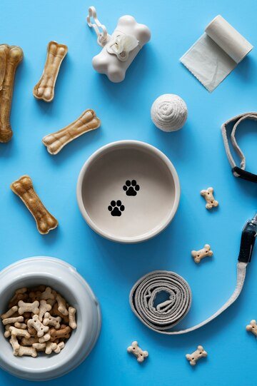 close-up-pet-accessories_23-2150960028 close-up-pet-accessories_23-2150960028